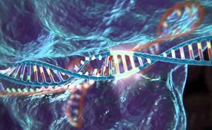 基因“魔剪”成功滅活HIV基因，有望帶來(lái)根治艾滋病新療法