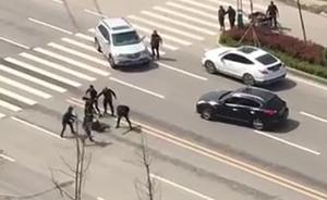 湖北監(jiān)利6名男子當(dāng)街持械圍毆一男子，嫌疑人均被警方抓獲