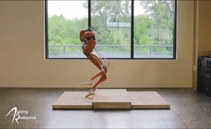 看雙足機(jī)器人花式上臺階，還會倒著走