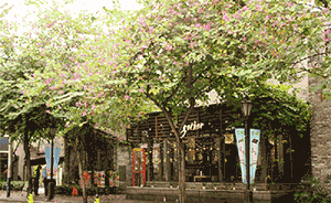 武漢一女白領(lǐng)賞花后得了過敏性結(jié)膜炎，視力猛降到0.1 