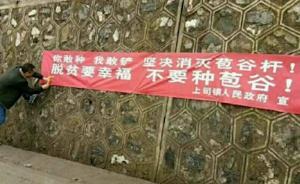 “你種我鏟”消滅苞谷？政府稱標(biāo)語已拆