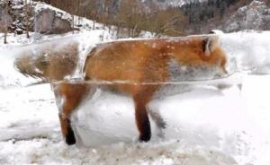 男子坐擁上海三百平方米住宅卻拖欠近2萬物業(yè)費(fèi)，賬戶被凍結(jié)