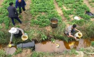 菜籽油泄漏村民搶撈，企業(yè)每斤一元贖回