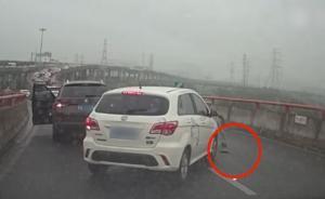 一只小貓已被車軋過，女司機(jī)高架停車救下另一只引熱議