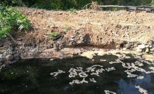 湖北宜都一公司廠(chǎng)區(qū)旁挖坑排放重金屬?gòu)U水，部分自流至長(zhǎng)江