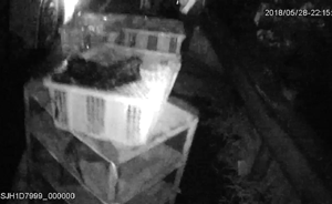 行李艙滲血水，客車內(nèi)查出大量野生動物