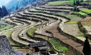 中國農(nóng)地“三權(quán)分置”的形成邏輯與實施政策（上）