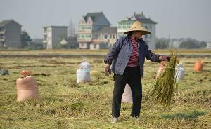 中國農(nóng)地“三權(quán)分置”的形成邏輯與實施政策（下）