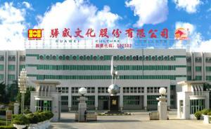 驊威文化報價30億元，要買張紀中女兒成立才兩年的影視公司