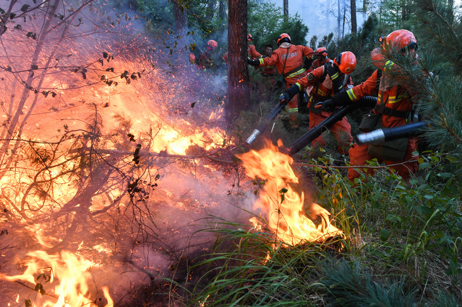 07-XxjpsgC001624_20180605_TPPFN1A001