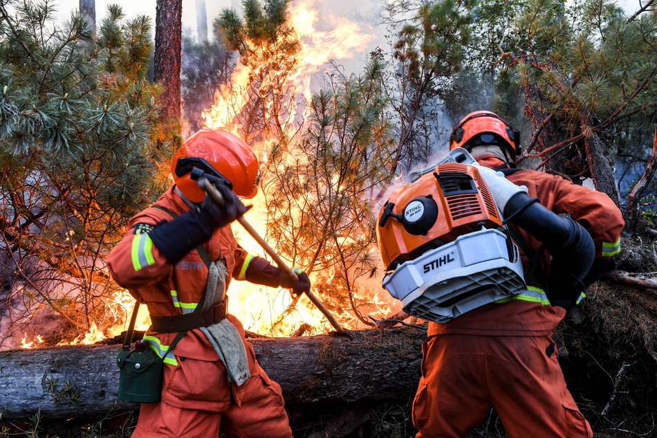 08-XxjpsgC001623_20180605_TPPFN1A001