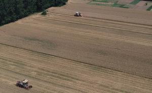 15萬臺機械收割兩百萬余畝小麥