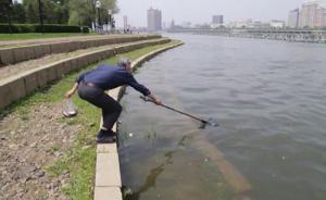 30万尾鱼苗投放，大爷百米外开捞