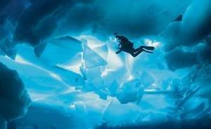 與這些海洋公益腕表一起加入到保護(hù)海洋的事業(yè)中去