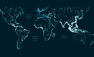 世界海洋日 | 塑料海還是那片海嗎？