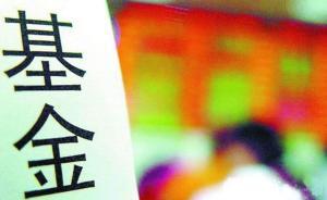 戰略配售基金6月11日開始發售，怎么買？收下這份投資指南