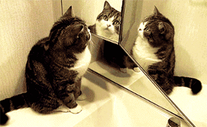 “繼承公積金被要求證明我爸是我爸”調(diào)查：非奇葩，意在確權(quán)