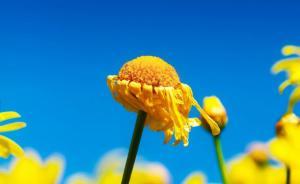 最高法：非直接接触的裸聊也属猥亵，对儿童身心健康造成侵害