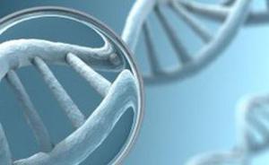 “基因魔剪”安全性再遇挫折：編輯成功或意味增加患癌風(fēng)險(xiǎn)