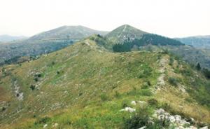 河南处置赵长城遭破坏案：7干部被追责，涉事公司被罚50万