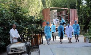 河南农大家禽种质场被督察组指“虚假整改”，一天后迅速搬完