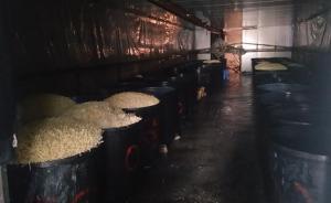 浙江景寧查獲萬余斤毒豆芽：黑心商販添加獸藥制作流入超市