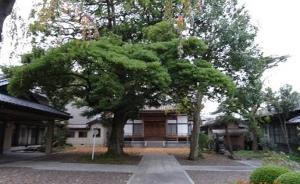 日本佛寺里的中國故事：仙臺道仁寺與常盤大定