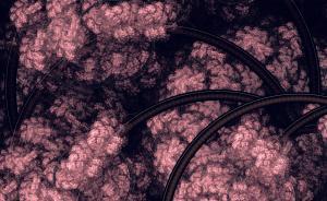 易大經(jīng)︱春夜讀書記