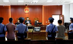 陜西銅川一男子非法獵殺野化朱鹮獲刑十年，二審維持原判