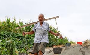 廣西79歲老人肩挑手填四個(gè)月鋪路：希望孩子上學(xué)路好走一點(diǎn)