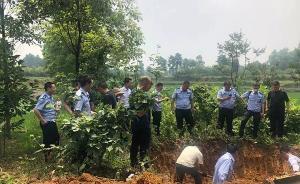 綿陽男子辱罵母親，被父母兄弟聯(lián)手“家法”殺害藏尸14年