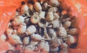戒毒后復(fù)吸？男子委屈：早餐吃了砂鍋