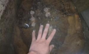 德国队输球后杭州球迷钓鱼解闷，一只28.5斤甲鱼上钩