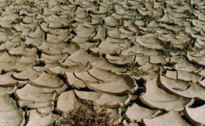 近期持續(xù)高溫加劇旱情，內(nèi)蒙古啟動(dòng)抗旱Ⅳ級應(yīng)急響應(yīng)