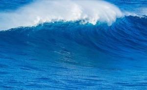 全國首例海洋生態(tài)環(huán)保公益訴訟案勝訴，法院判賠782萬余元