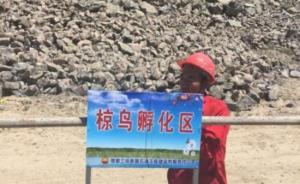 新疆墩那高速為萬只粉紅椋鳥育巢停工，算的不是經(jīng)濟賬