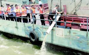 電魚者購250萬尾魚苗投放長江贖罪，“電魚犯罪讓我丟臉”