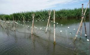 環(huán)保督察：烏梁素海生態(tài)環(huán)境形勢(shì)仍不樂觀，治理規(guī)劃不嚴(yán)不實(shí)