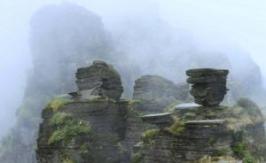 新华社谈梵净山申遗成功：彰显中国生态文明建设新成果