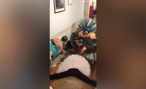 俄芭蕾舞演员实力演绎:拉伸看球两不误