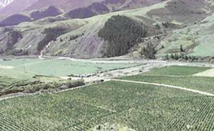 祁連山整改修復一年間：只要確認有生態(tài)破壞風險，全一票否決