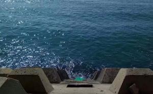 大连男子游泳身亡家属悬赏目击者：大腿被切断疑为快艇肇事