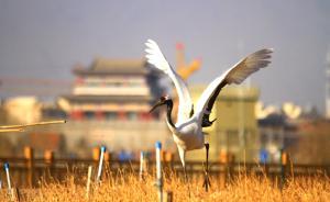 甘肅出臺污染防治攻堅方案：重點突出祁連山生態(tài)環(huán)境問題