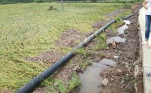 江西撫州計生干部抗洪遇難 ，原本幾天后將提拔上任新崗位