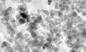 研究：納米二氧化鈦污水治理技術(shù)或暗藏生態(tài)風險