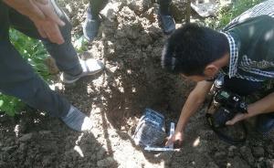 連云港280戶農(nóng)民遭遇購(gòu)糧詐騙，嫌疑人打白條購(gòu)買后跑路