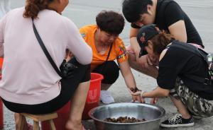 “金蟬”6毛錢一只，“吃貨”追捧