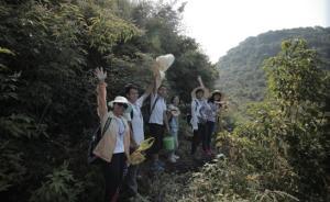 走進(jìn)南嶺︱于薇：江永那片山，尋“古”的路并不詩意