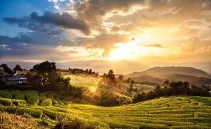 泰国旅游业半年报：中国内地游客593万人次，同比增26%