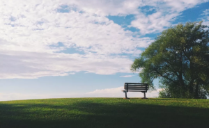 在公墓園做售后，我看見人心的千姿百態(tài)